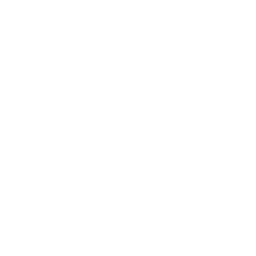 Logo PROTECSA
